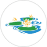 BAPA