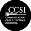 Product CCSI