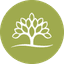 Product IFII