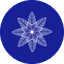 Product NPGF