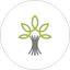 Product SCNP